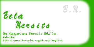 bela mersits business card